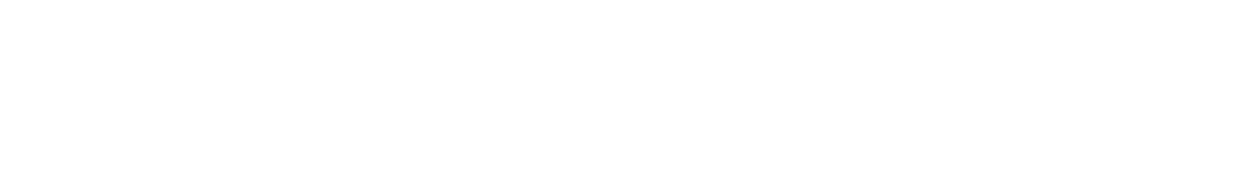 Try My Style Logo